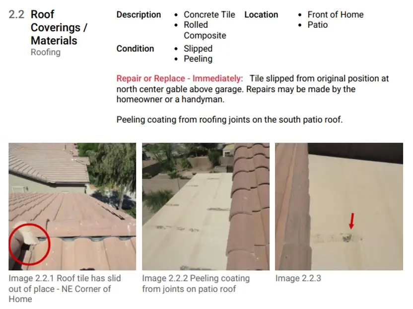 Example of how the Repair and Replace button shows up in the PDF report