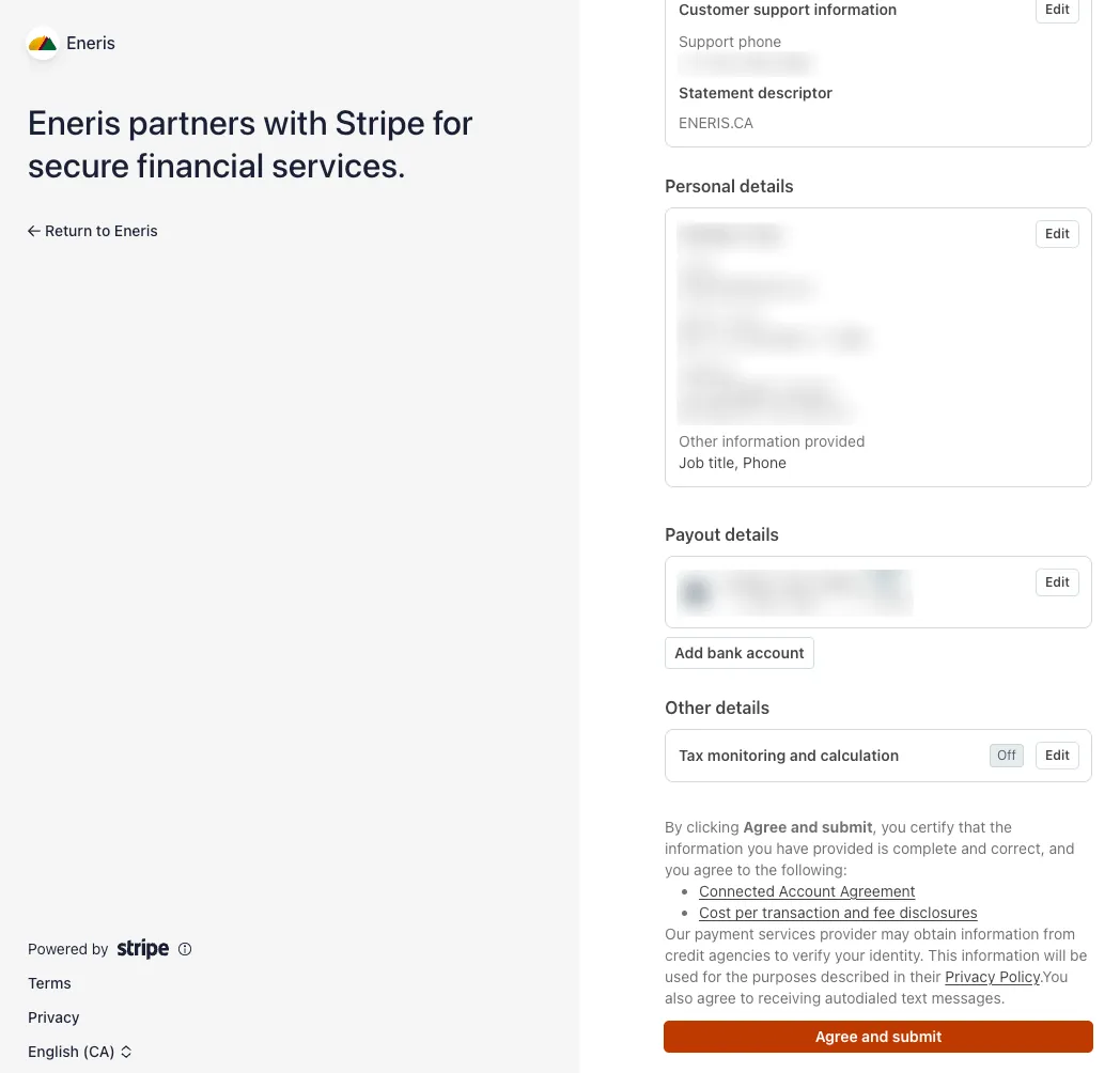 Review all submission details before submitting your Stripe onboarding.