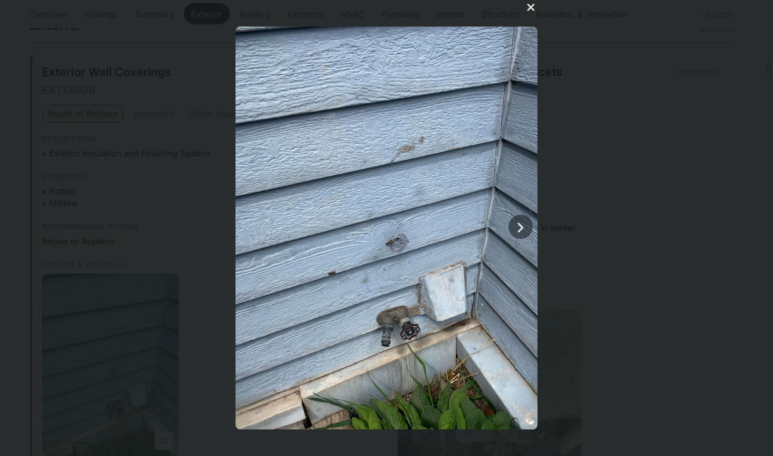 Web report enlarged image viewer.