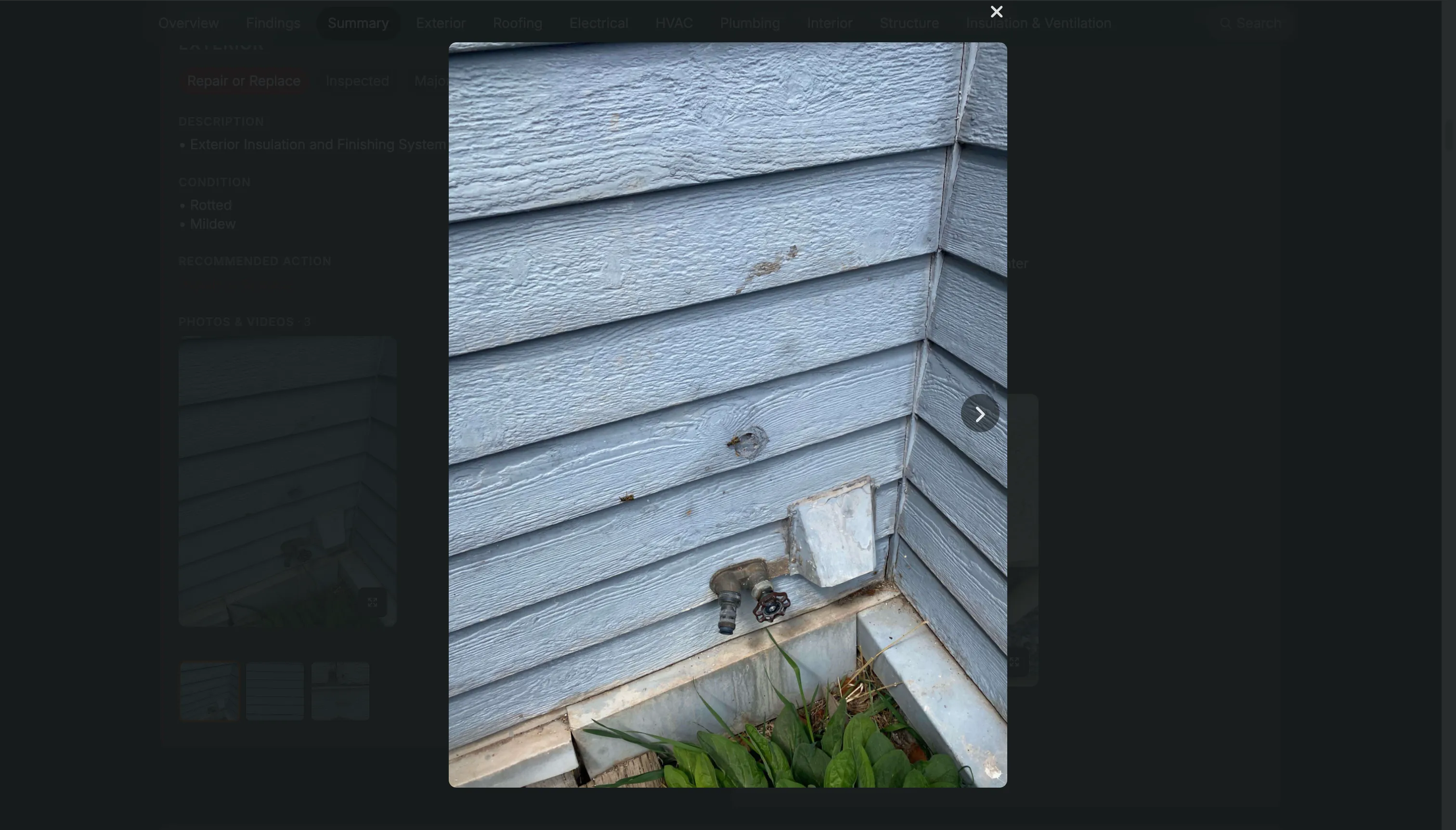 Web report enlarged image viewer.